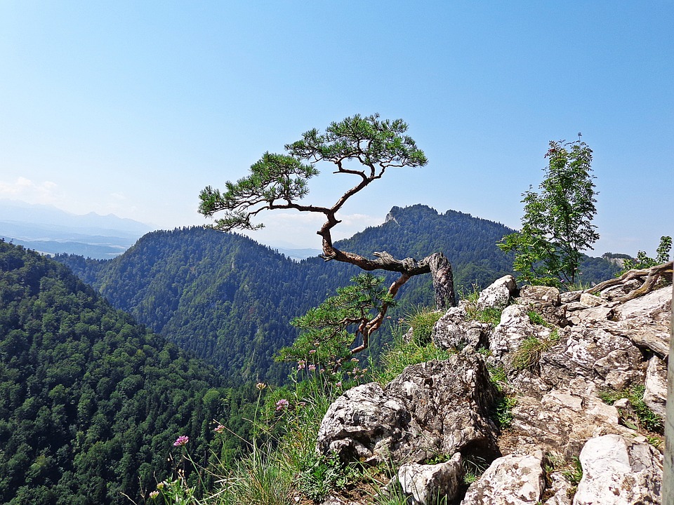 Nietypowe atrakcje w Bieszczadach