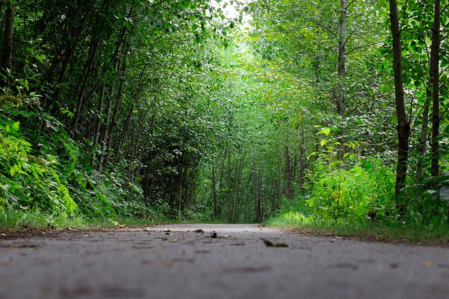 Jak się dobrze przygotować do wyjazdu w bieszczady?