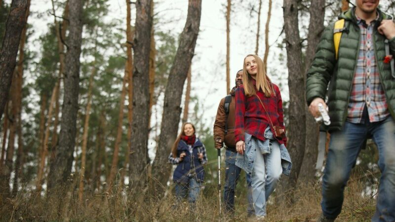 Beskid Śląski z dzieckiem – atrakcje i szlaki