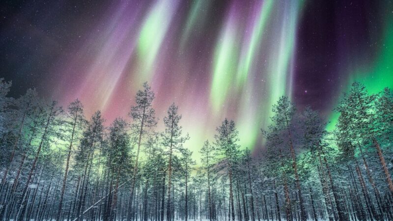 Zorza Polarna w Tromso: Kiedy i Gdzie Ją Zobaczyć?