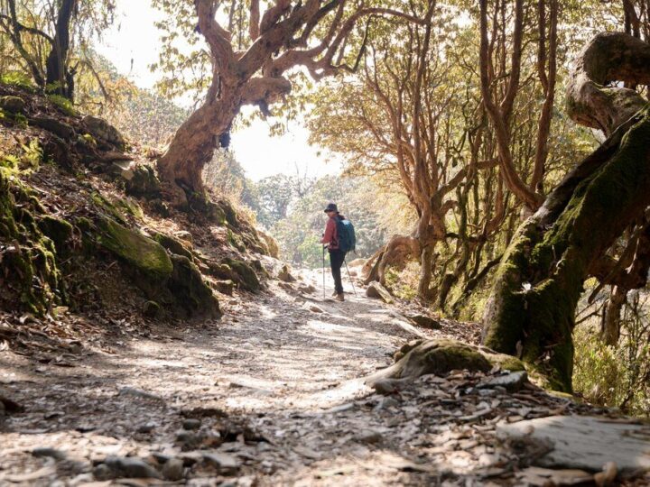 Szlaki na Śnieżkę: Jakie są najpopularniejsze trasy?