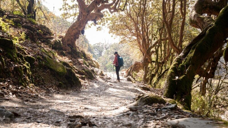 Szlaki na Śnieżkę: Jakie są najpopularniejsze trasy?